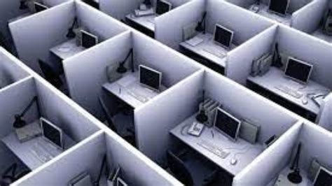 National Cubicle Day 2023: Date, History, Activities and Facts