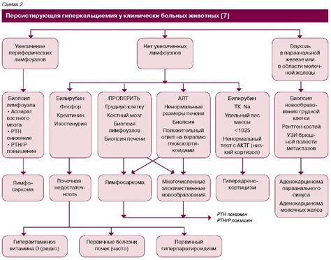 Нарушения метаболизма кальция: гиперкальциемия / Metabolic disorders of ...