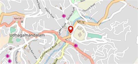 Thalassery Thakkaram Restaurant, Ooty - Restaurant menu, prices and reviews