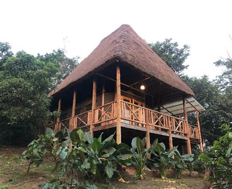 BUGOMA JUNGLE LODGE (Kisaru) - Lodging Reviews, Photos, Rate Comparison ...