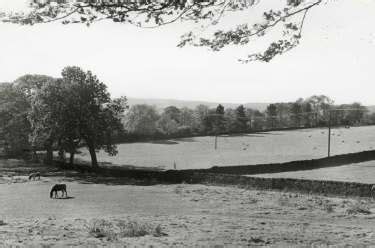 Searching Picture Sheffield