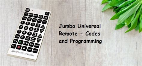 Image result for Jumbo Remote Code Search