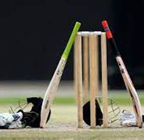 Titus Sports Jaipur — Squash, Badminton, Cricket, Tennis & Sports ...