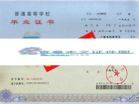 上海大学毕业证编号查询 上海大学毕业证编号示例图 毕业证编号怎么编_毕业证样本网