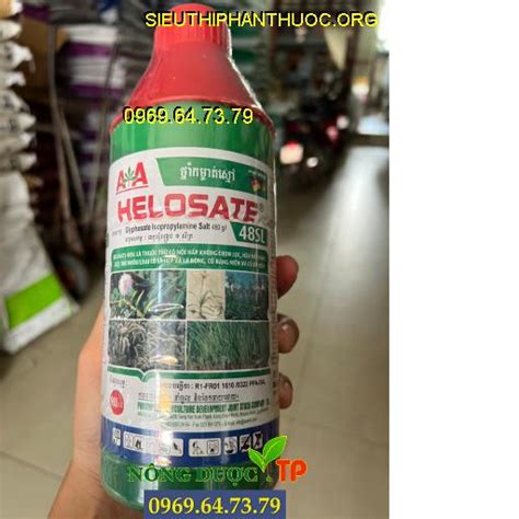 AMBIL SEKARANG