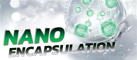 Edgexo Learning Centre - Business, Income Tax & GST