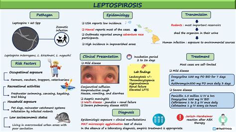 What Is The Prophylaxis For Leptospirosis at Crystal Blackwell blog