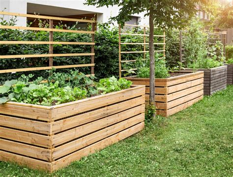 Backyard Garden Beds 的图像结果