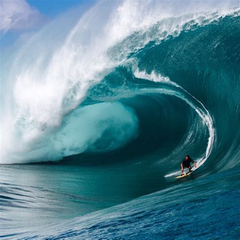 Image result for Wave Button Animation. CSS