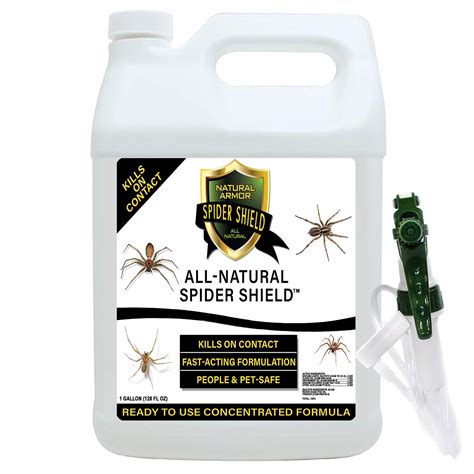 Spider Killer