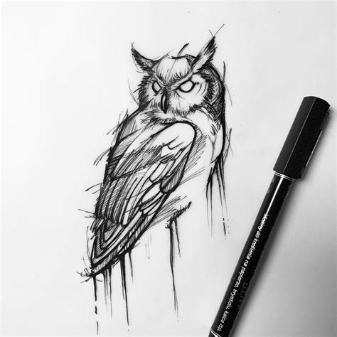 Owl Sketch Simple at Ellie Roseby blog