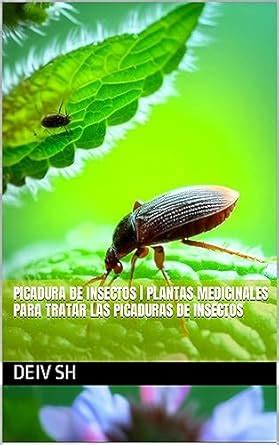 PICADURA DE INSECTOS | Plantas medicinales para tratar las picaduras de ...