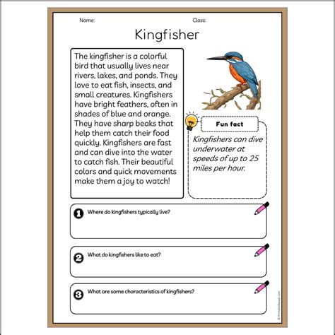 Kingfisher | Reading Passage Comprehension Questions Writing Facts Wor ...