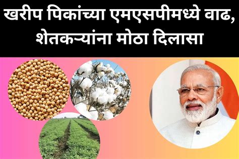 MSP 2023: ब्रेकिंग न्युज, खरीप पिकांच्या एमएसपीमध्ये वाढ, शेतकऱ्यांना ...