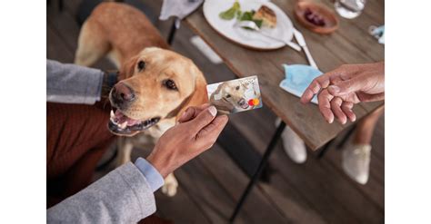 Petco Announces Revolutionary Credit Card Program in Partnership with ...