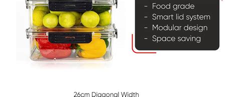 Buy TEX-RO Fridge Storage Boxes Fridge Organizer with Removable Drain ...