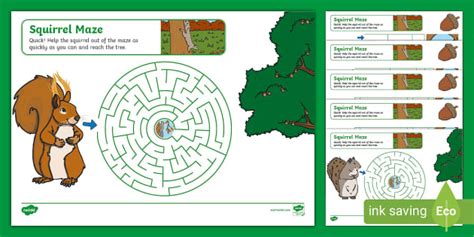 Squirrel Maze Activity Worksheets (teacher made) - Twinkl