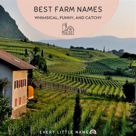 120+ Best Farm Names (Whimsical, Funny, and Catchy) - Every Little Name