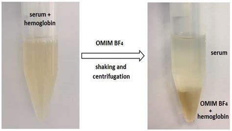 Influence of Selective Extraction/Isolation of Heme/Hemoglobin with ...