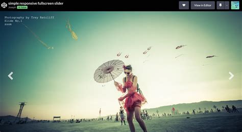 Image result for Full Screen Image Slider HTML/CSS