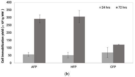 Assessing Edible Filamentous Fungal Carriers as Cell Supports for ...