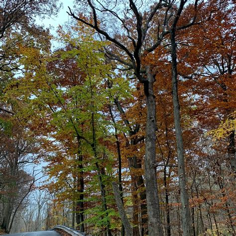 Riegelsville Tourism (2023): Best of Riegelsville, PA - Tripadvisor