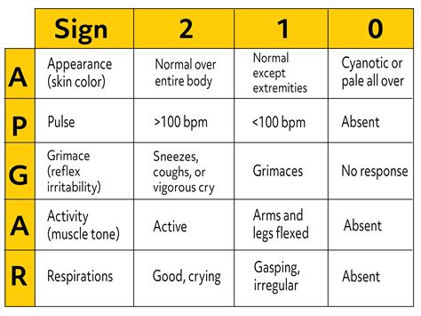 What is a Newborn Apgar Score? (Video)