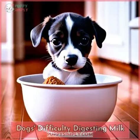 Image result for Ice Cream Digesting