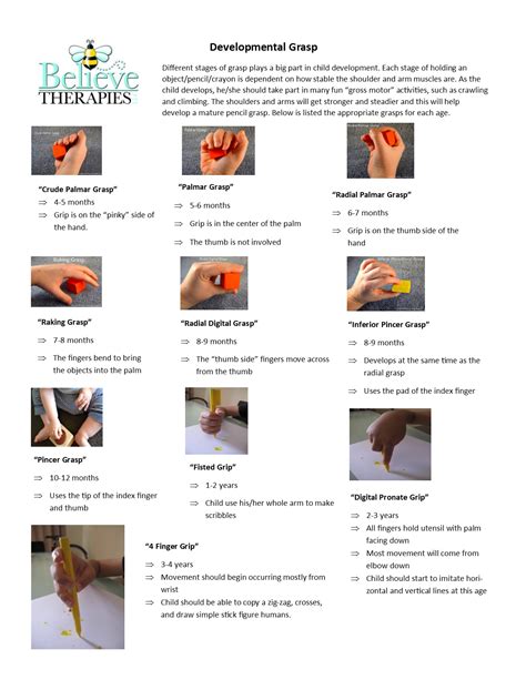 Development of Grasp | Pediatric therapy, Pediatric occupational therapy, Pediatrics