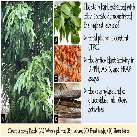 Image result for Programable DC Timer