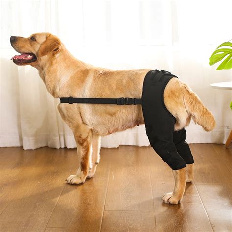 Adjustable Dog Leg Brace - Knee & Hock Support for Large Dogs with ...