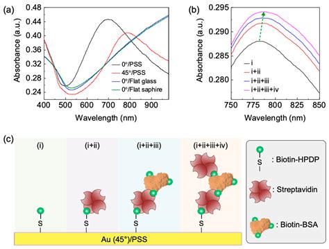Wafer-Scale LSPR Substrate: Oblique Deposition of Gold on a Patterned ...