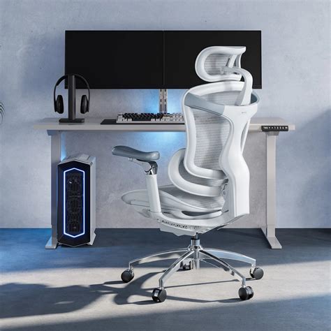 Sihoo Doro C300 Pro Ergonomic Office Chair Fully Loaded Comfort