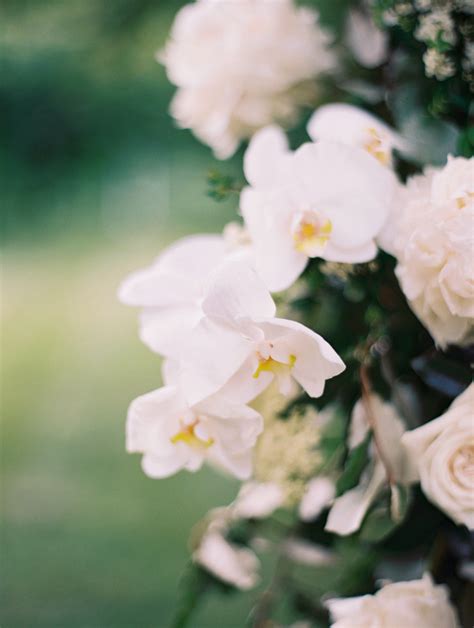 Classic and Modern Merge at this Pinecroft Mansion Wedding — Carly ...