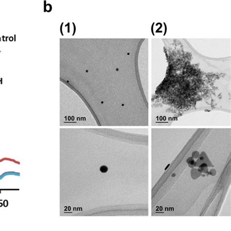 Image result for Colorimetry Detection Projects