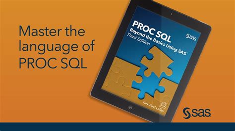 SAS Proc SQL 的图像结果