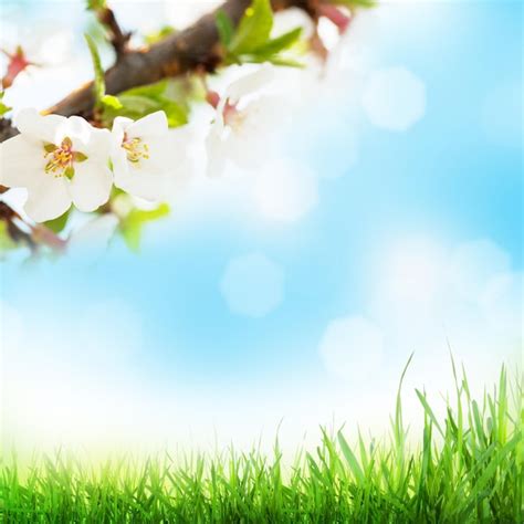 Abstracte zonnige lente achtergrond | Premium Foto