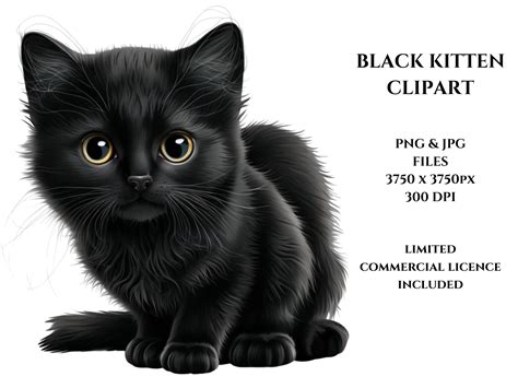 Black Cats Clip Art