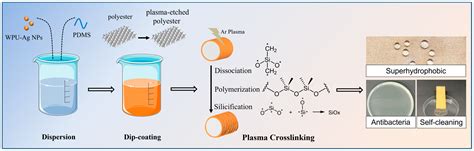 Green Method for the Preparation of Durable Superhydrophobic ...