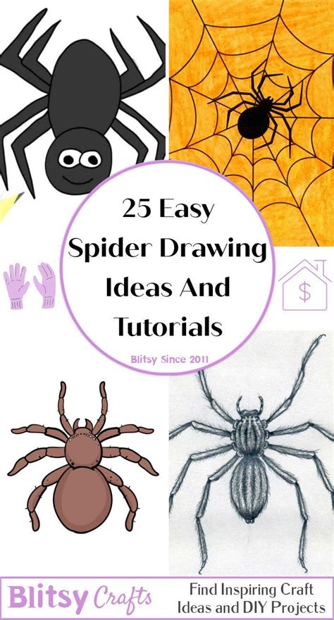 Spider Drawing With Labels at Larissa Morning blog