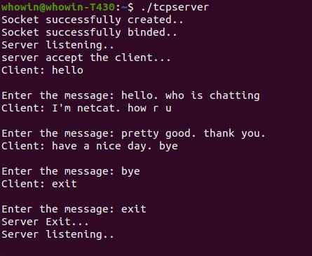 TCP Client Code C 的图像结果