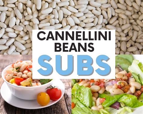 The BEST Substitutes For Cannellini Beans | The Olive Branch Nest