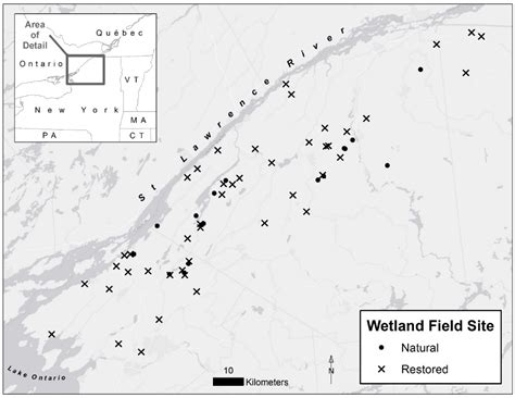 Surface Water Quality Differs between Functionally Similar Restored and ...