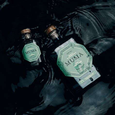 MUMA Logo 的图像结果