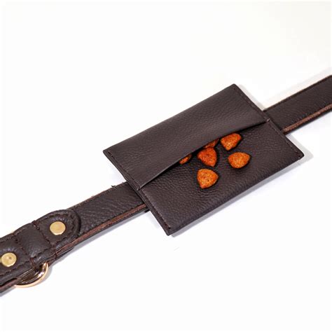 Buy BrownTreat Bag Holder for Dogs Online | Handy & Stylish – pupr.in