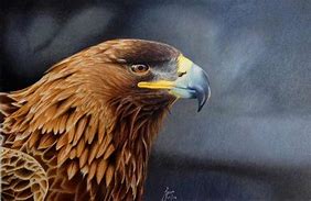 tutorial pencil draw a tree