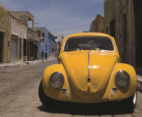 Voluntary Export Restraints