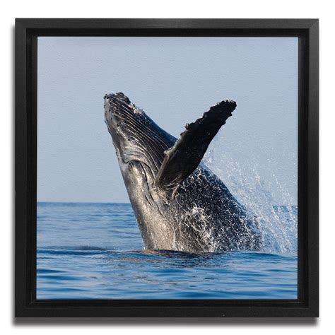 JP London Ready to Hang Made in North America Art Framed 1.5in Thick ...