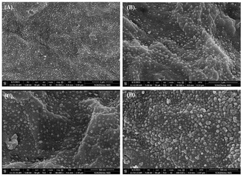 Size Effects of Microplastics on Embryos and Observation of Toxicity ...