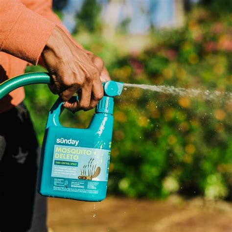 Sunday Lawn Care Review - Must Read This Before Buying